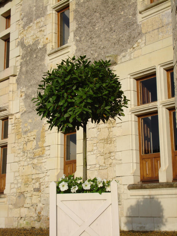 Manoir Du Bois Noblet Bed & Breakfast Louerre Екстериор снимка
